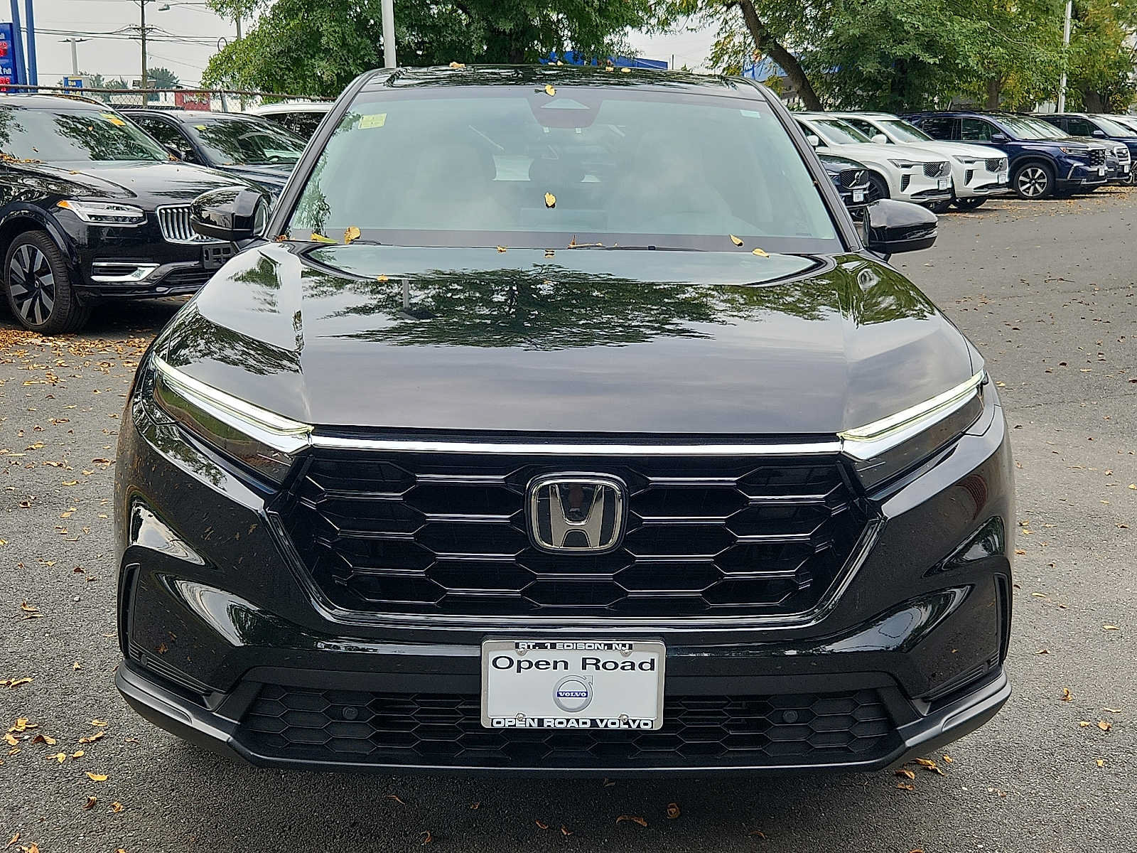 Used 2024 Honda CR-V EX-L image 2
