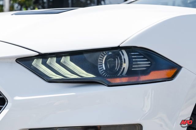 Used 2019 Ford Mustang GT Premium w/ Equipment Group 401A image 74