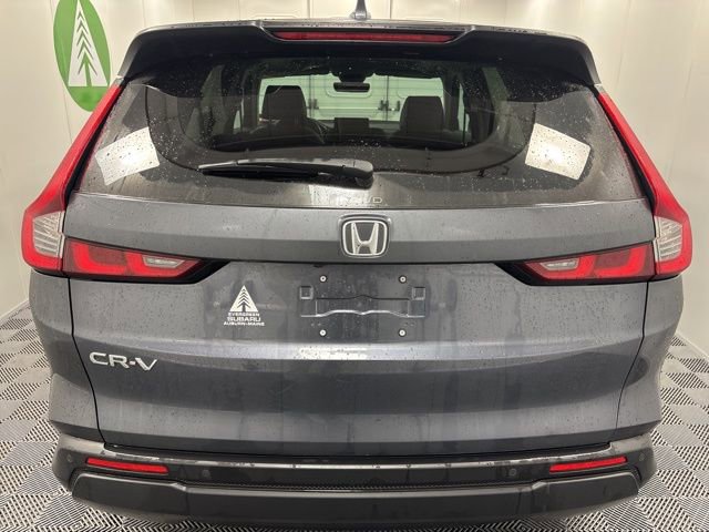 Used 2025 Honda CR-V EX-L image 5