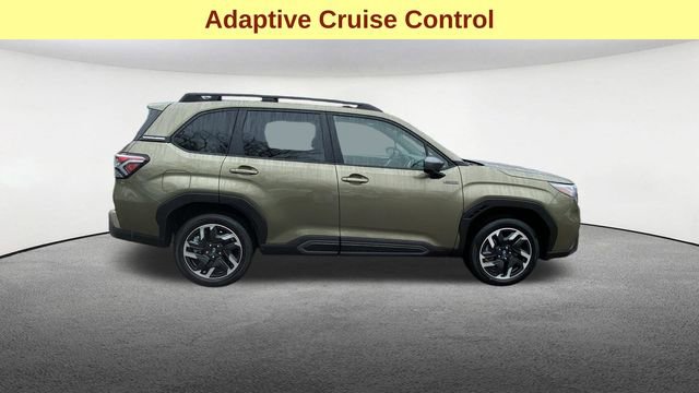 Used 2025 Subaru Forester Limited image 9