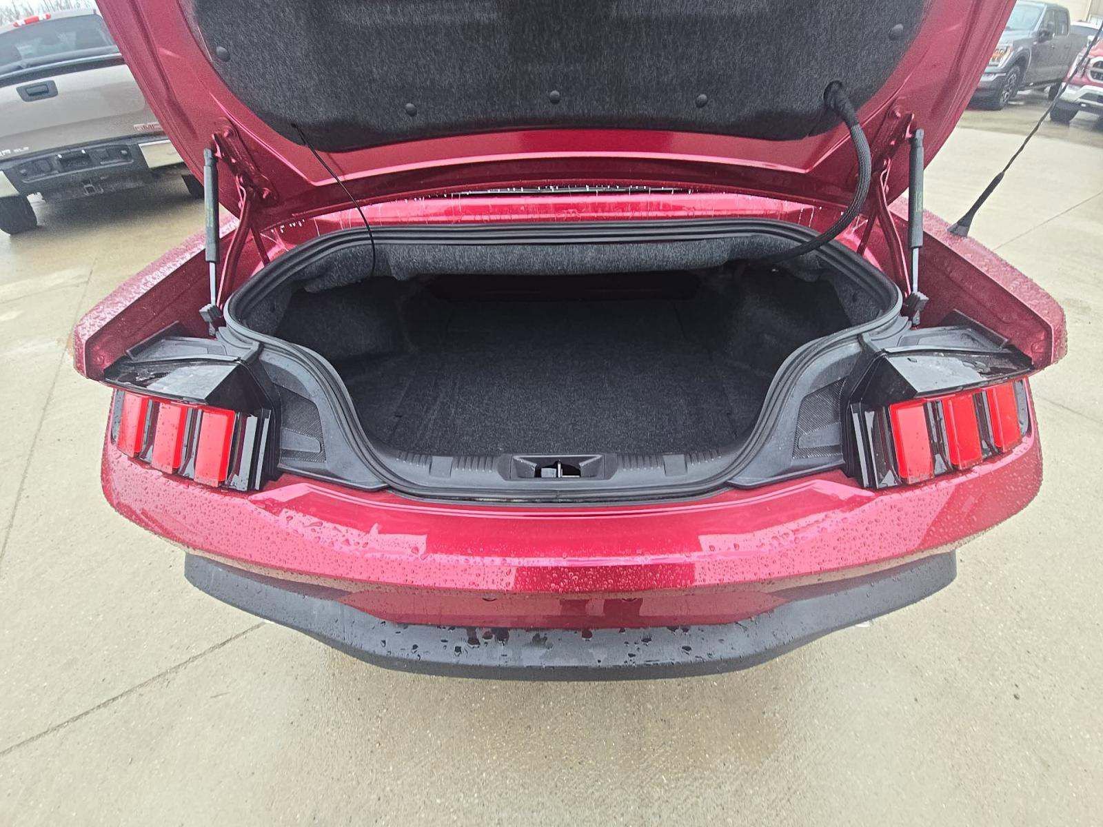 Used 2025 Ford Mustang Premium w/ Wheel & Stripe Package image 11