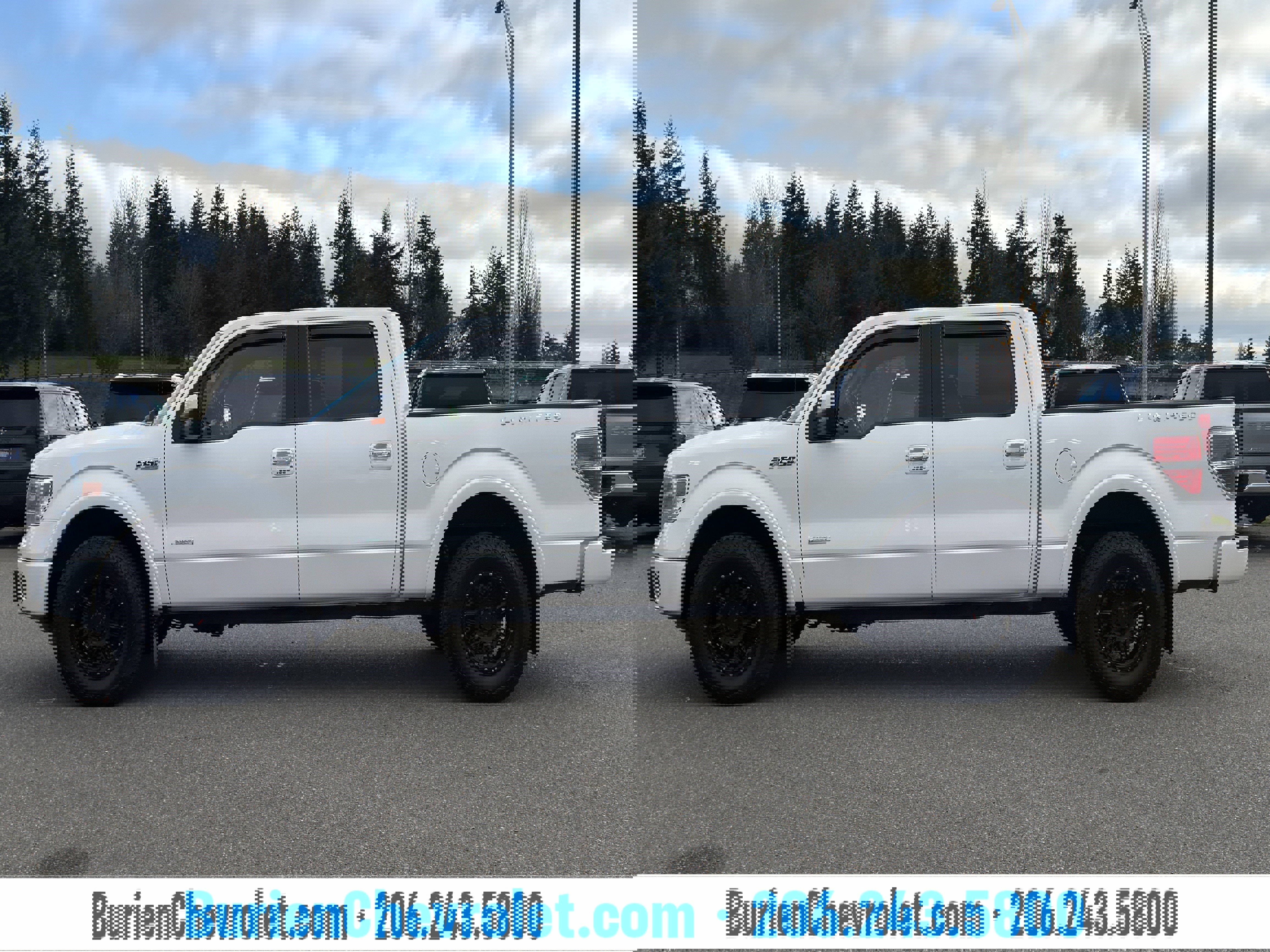Used 2014 Ford F150 Limited image 2
