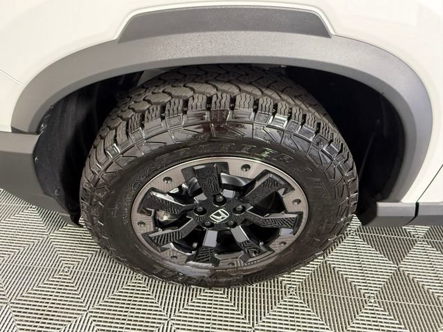 Used 2026 Honda Passport TrailSport Elite image 13