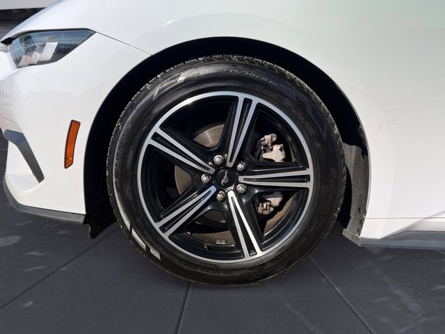 Used 2024 Ford Mustang Premium image 14