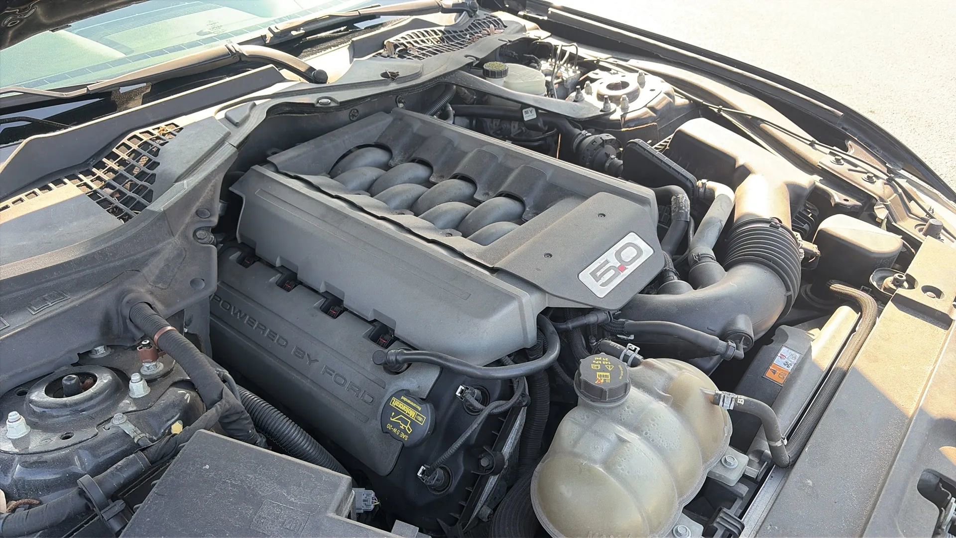 Used 2015 Ford Mustang GT Premium image 48