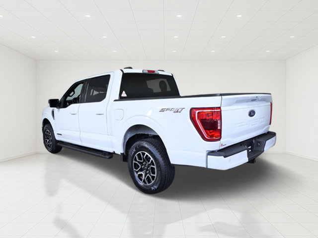 Certified 2023 Ford F150 XLT w/ Equipment Group 302A High AWD/4WD image 5