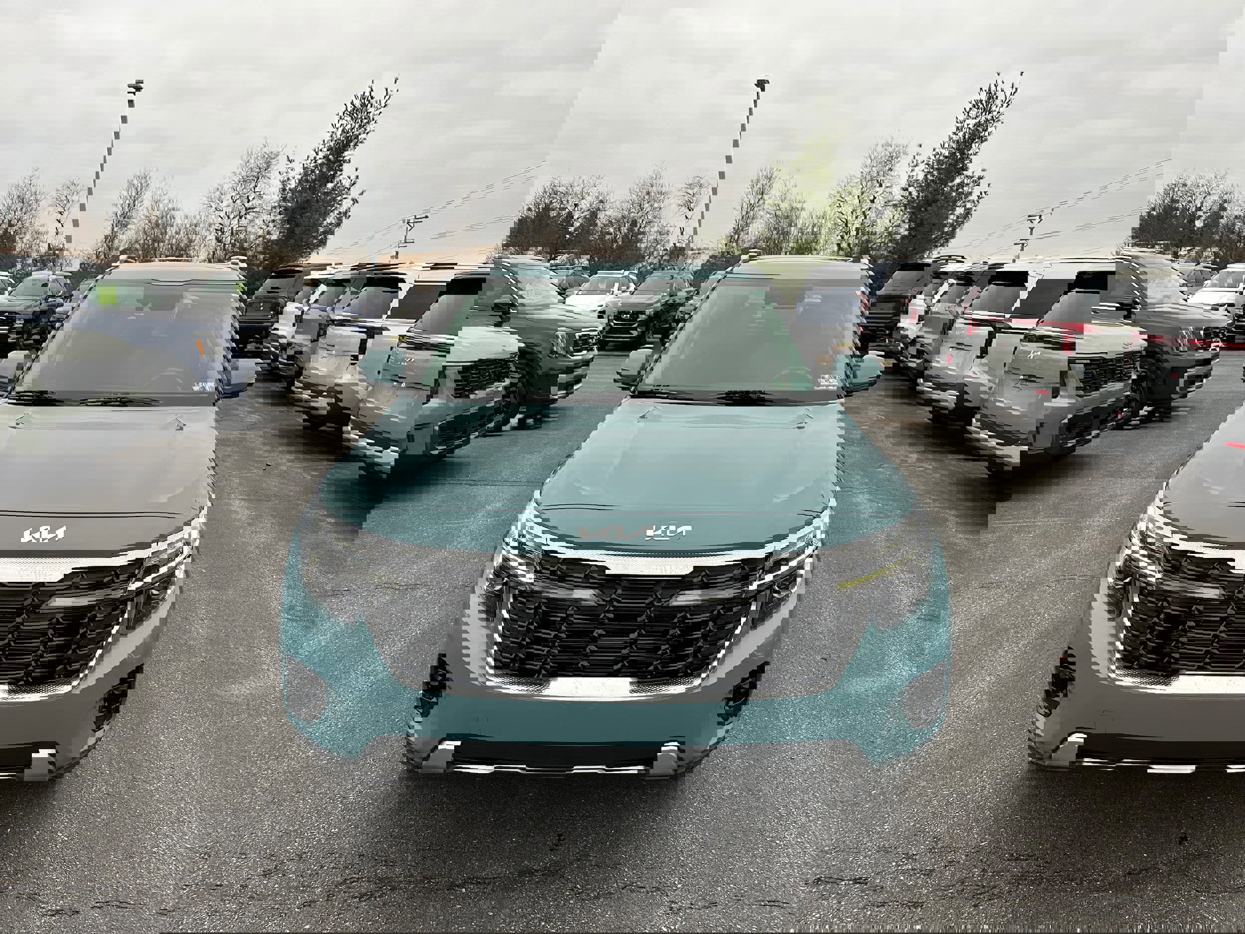 Used 2024 Kia Seltos EX image 2