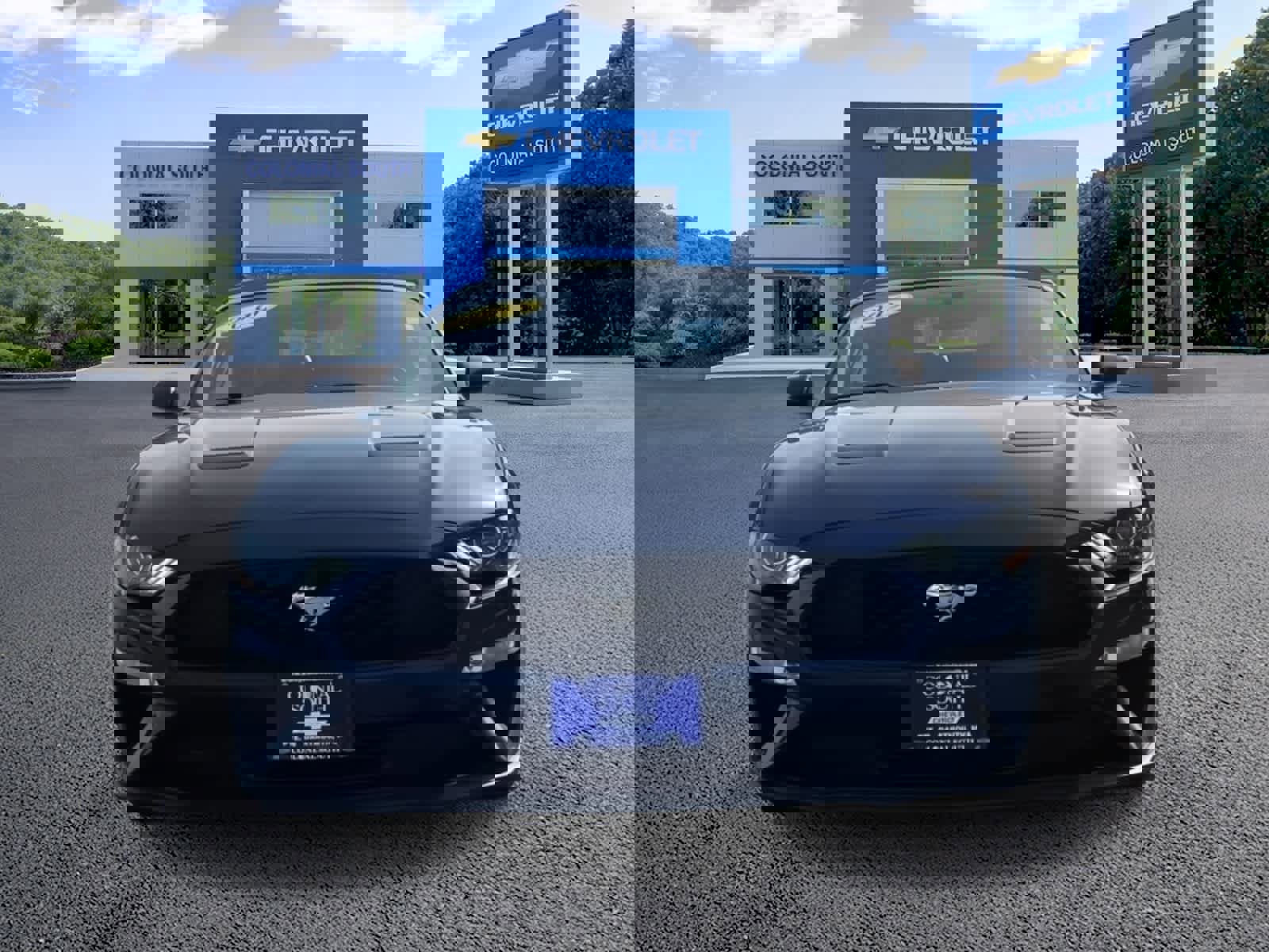 Used 2019 Ford Mustang Premium image 9