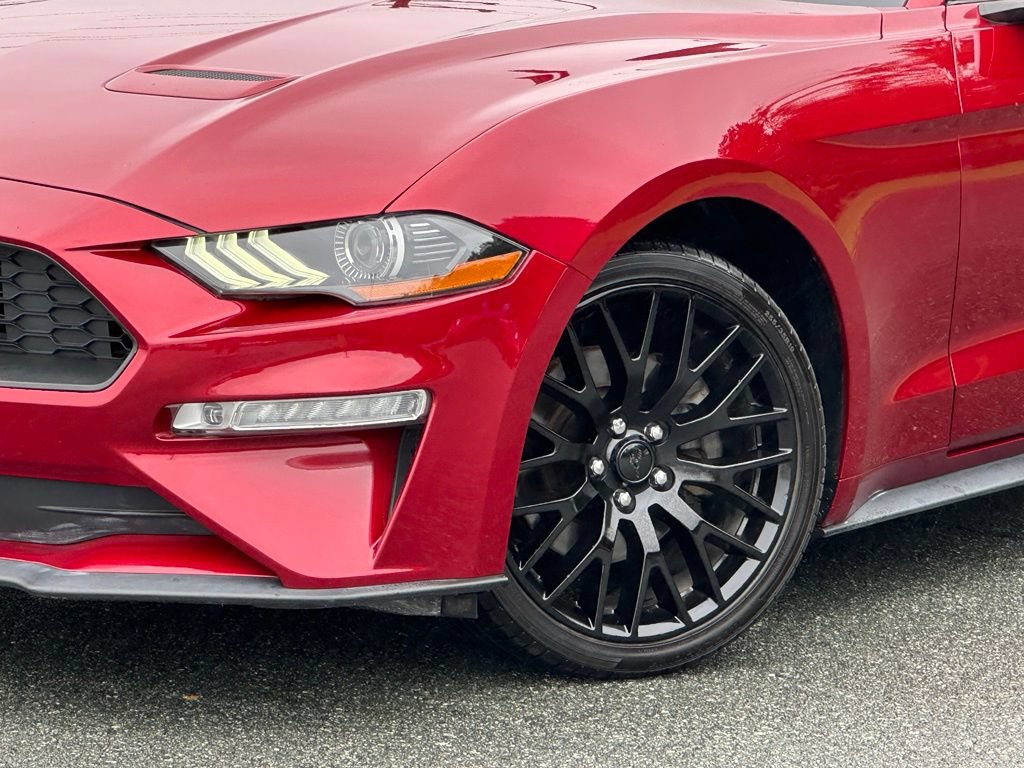 Used 2019 Ford Mustang Premium w/ Equipment Group 201A RWD image 30