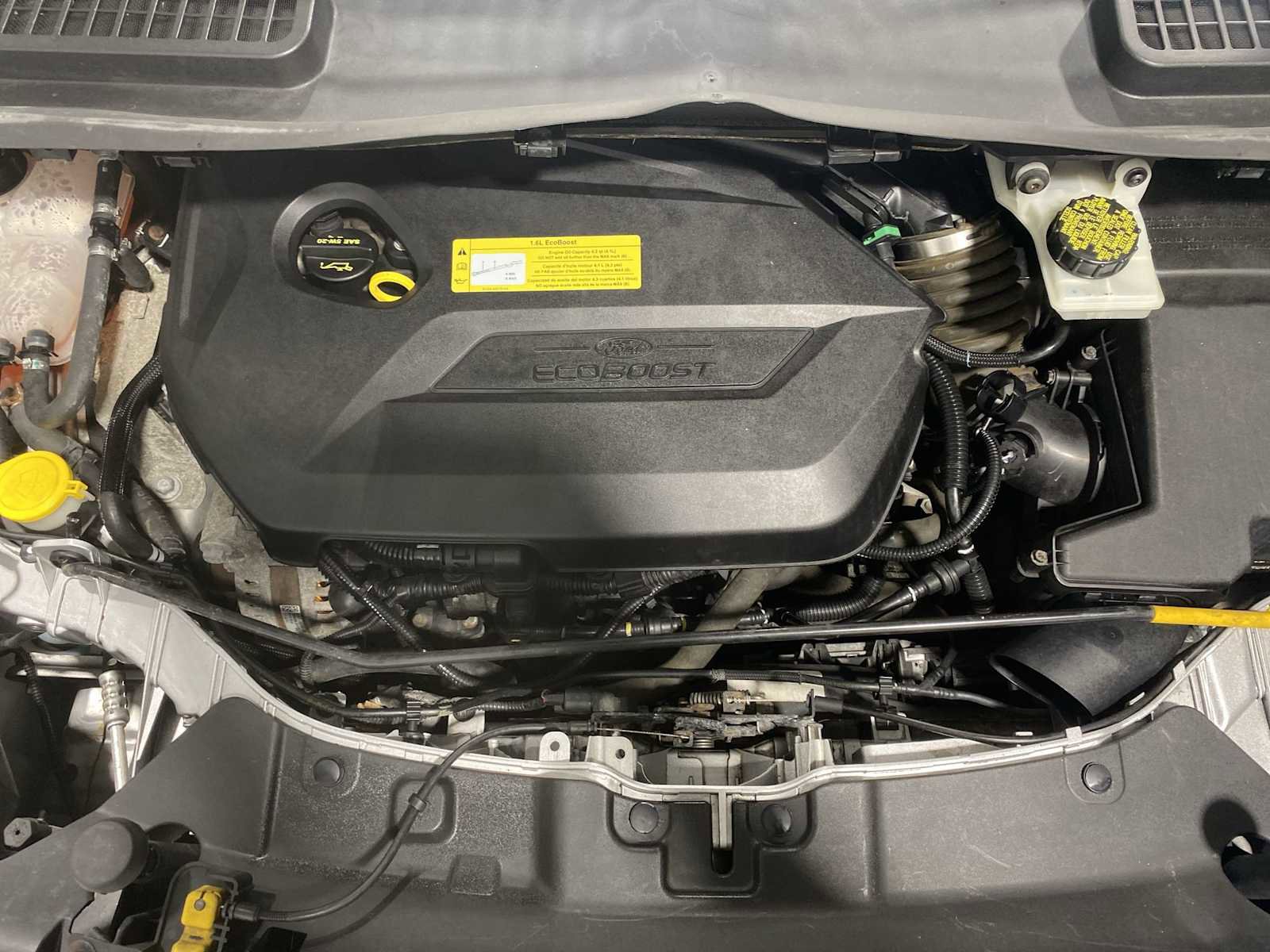 Used 2014 Ford Escape SE w/ Equipment Group 201A image 9