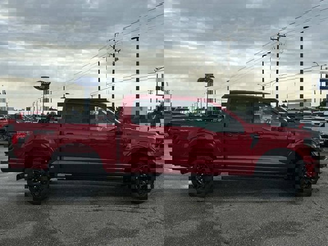 New 2025 Ford F150 XLT w/ Equipment Group 302A MID image 4