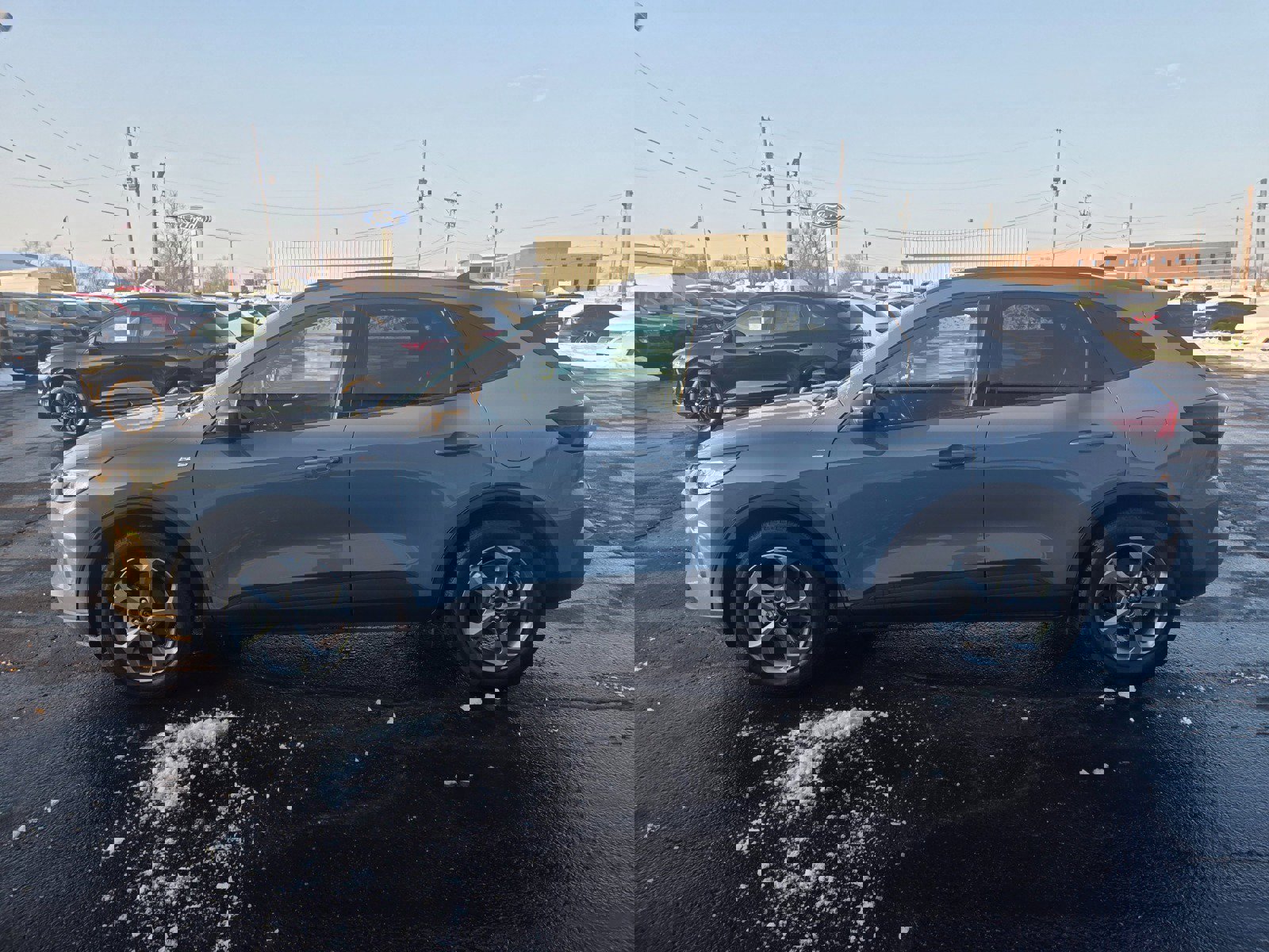 Used 2025 Ford Escape ST-Line w/ Equipment Group 301A image 6