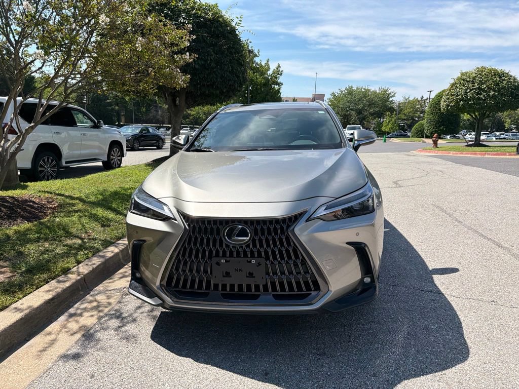 Certified 2026 Lexus NX 350h AWD w/ Cold Area Package image 2