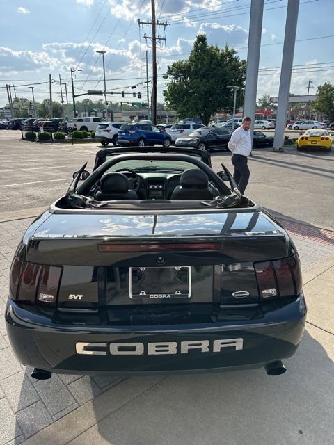 Used 2004 Ford Mustang Cobra RWD image 4
