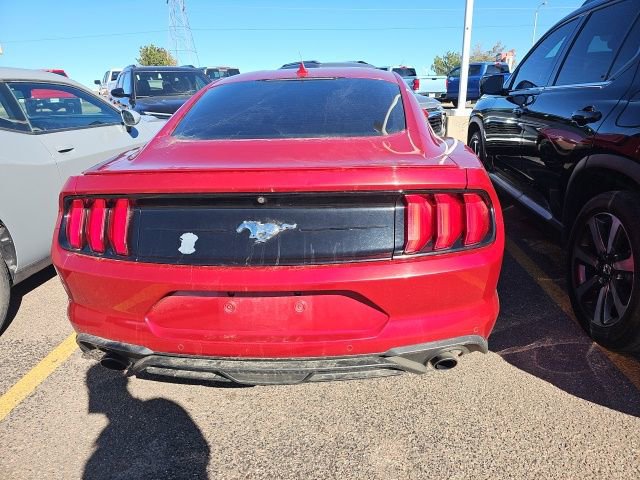 Used 2021 Ford Mustang Premium w/ Equipment Group 201A image 4
