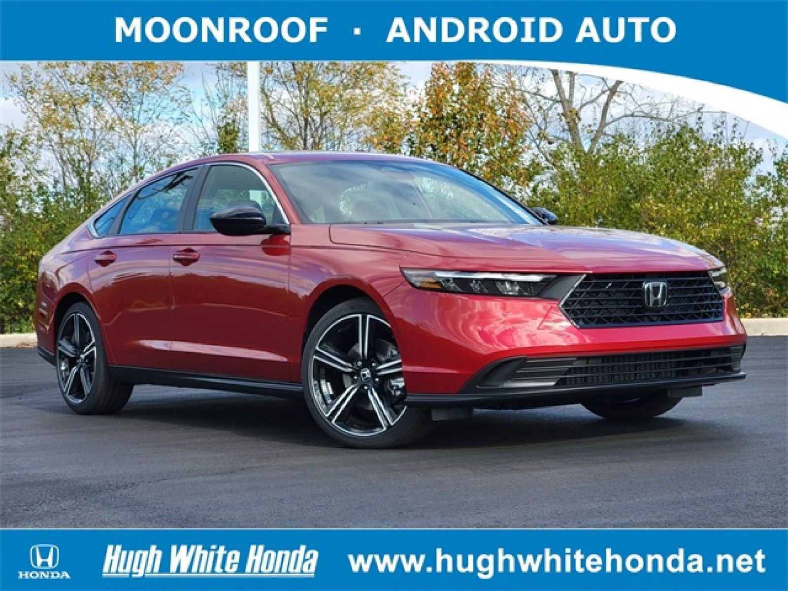 Used 2024 Honda Accord Sport image 1