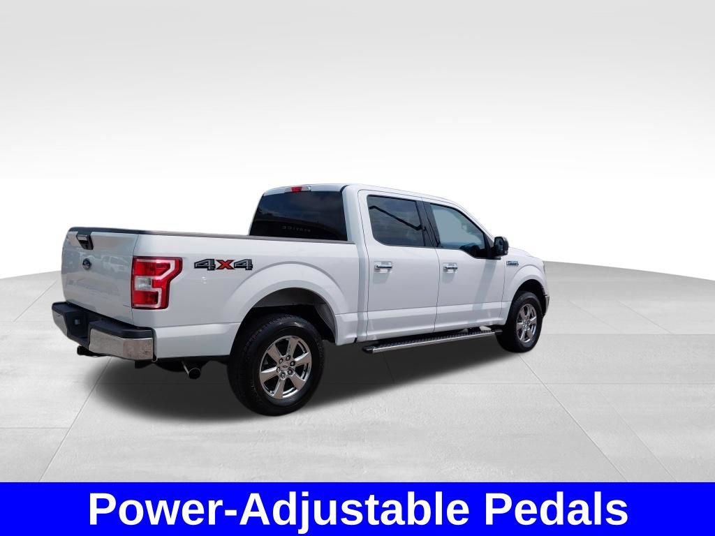 Used 2019 Ford F150 XLT w/ Equipment Group 302A Luxury AWD/4WD image 11