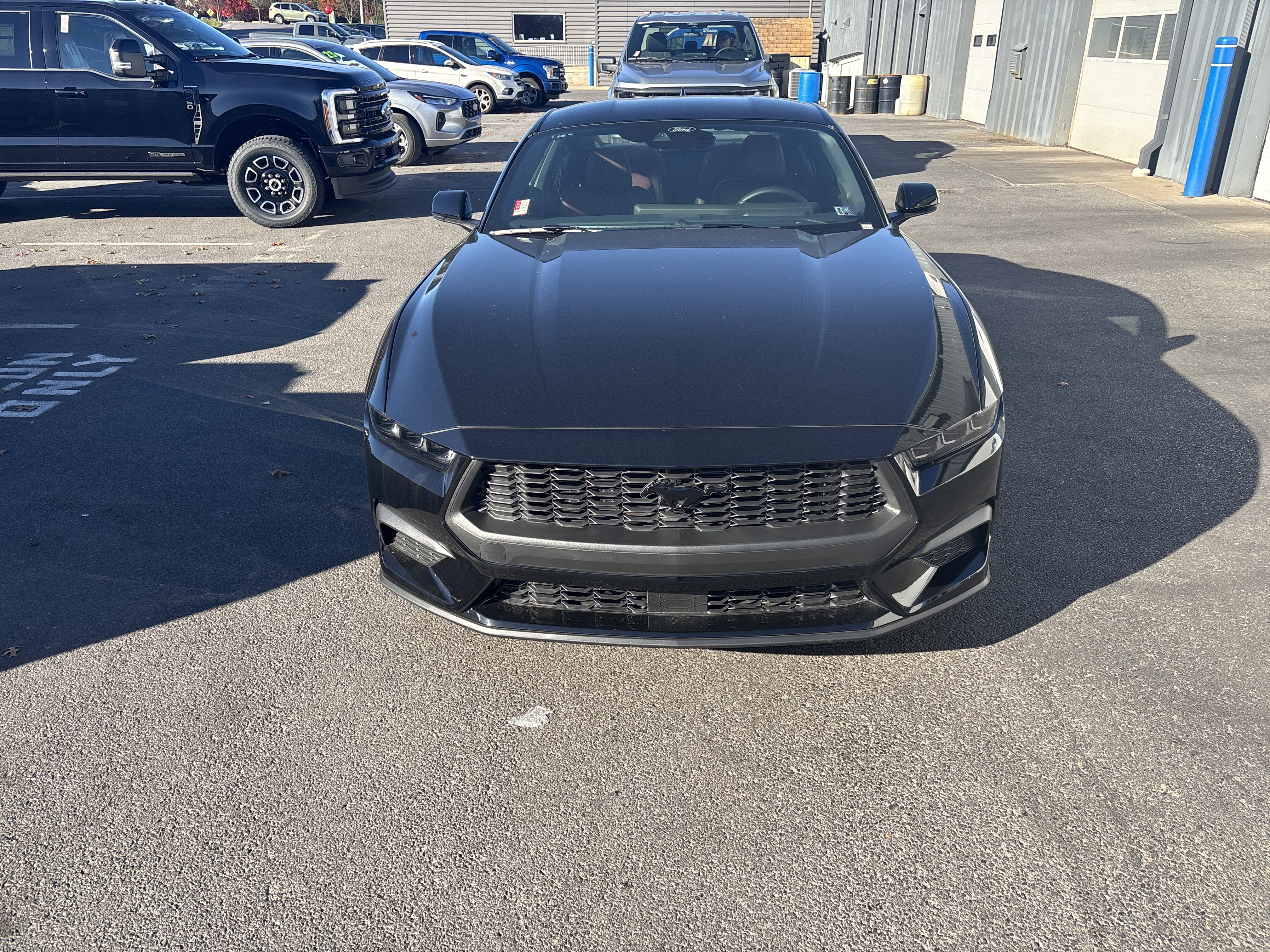 New 2025 Ford Mustang Premium image 9