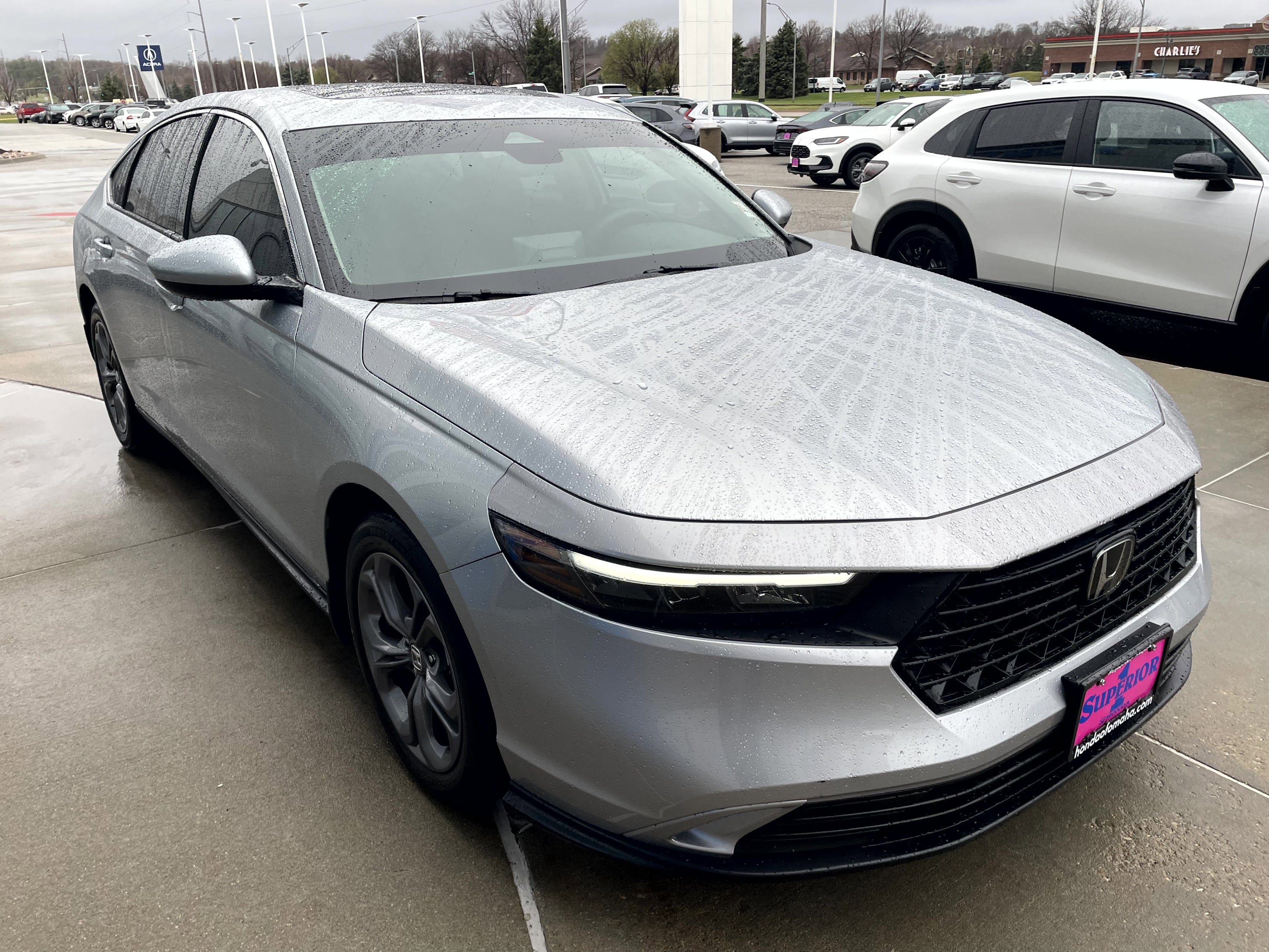 Certified 2024 Honda Accord EX image 4