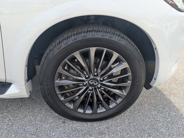 Used 2024 INFINITI QX80 Sensory w/ Cargo Package image 17