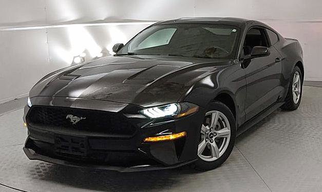Used 2019 Ford Mustang Coupe image 5