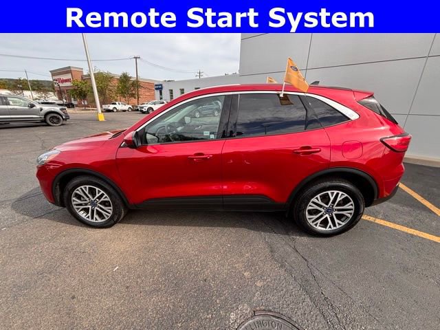 Certified 2022 Ford Escape SEL image 4