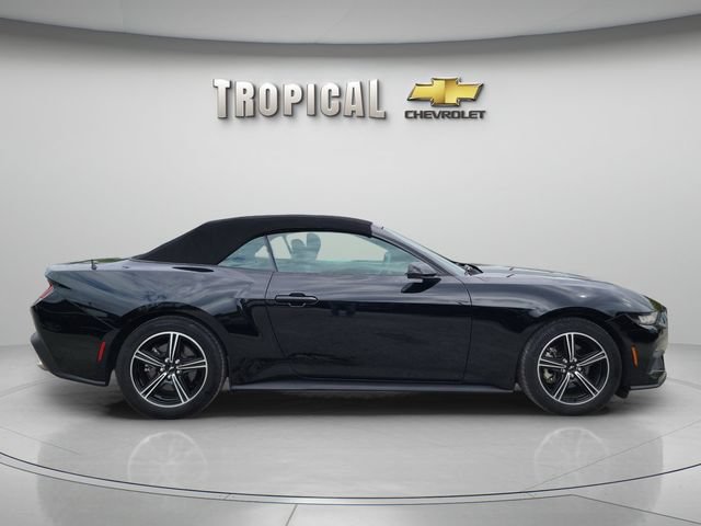 Used 2025 Ford Mustang Convertible RWD image 5