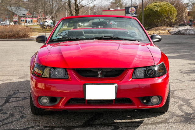 Used 1999 Ford Mustang Cobra RWD image 13