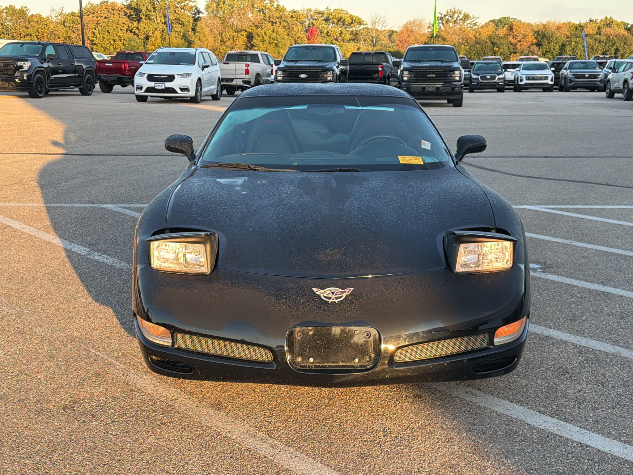 Used 2003 Chevrolet Corvette Z06 w/ Memory Package, 3 Drivers RWD image 9
