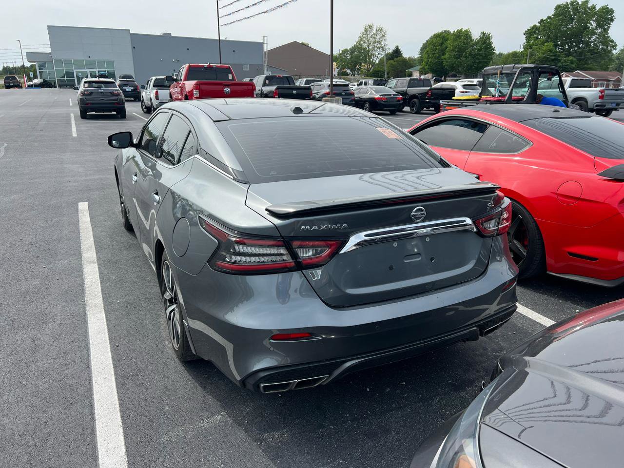 Used 2019 Nissan Maxima 3.5 SL w/ Floor Mat Group FWD image 3