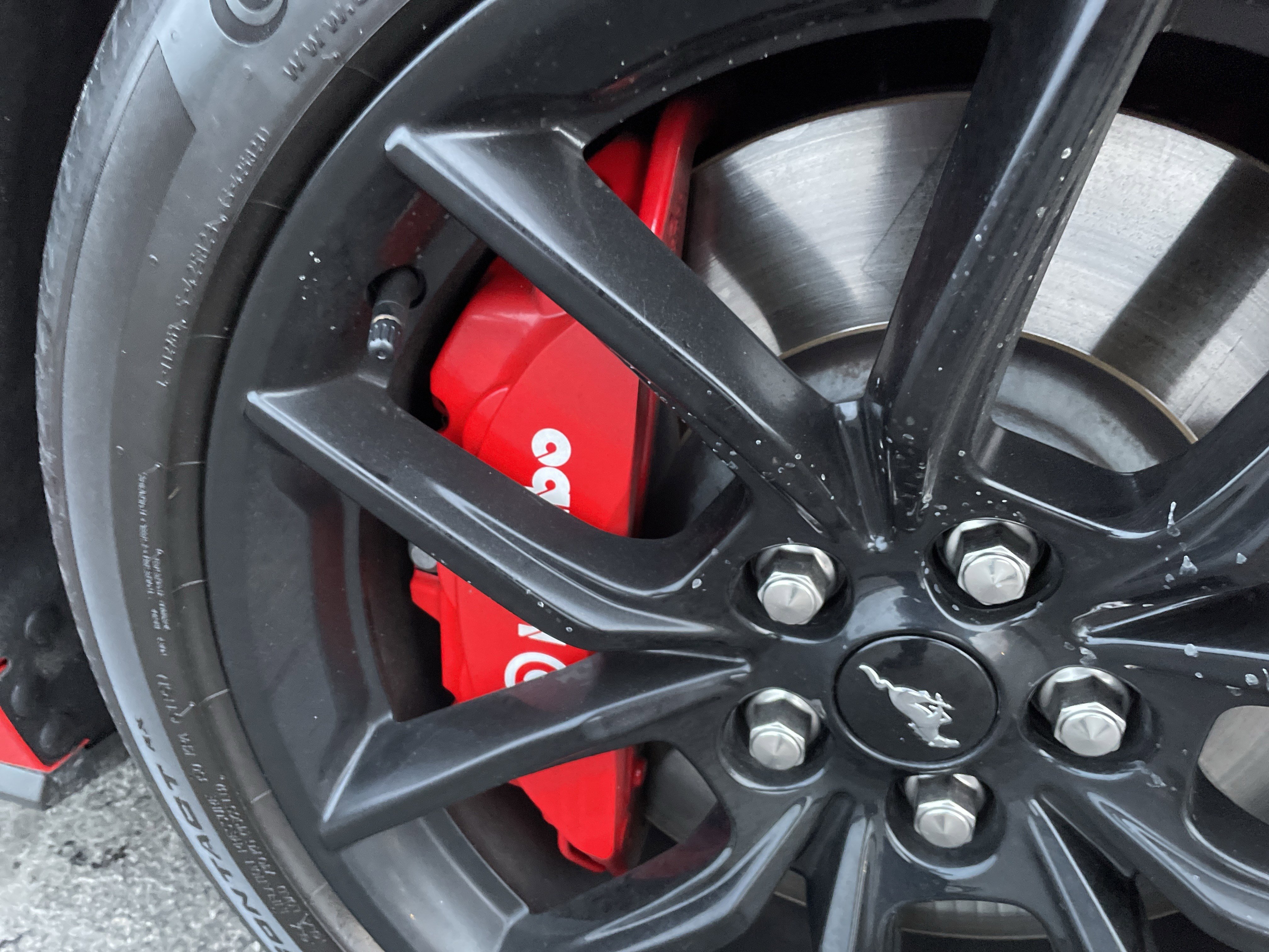 Used 2025 Ford Mustang GT Premium image 14