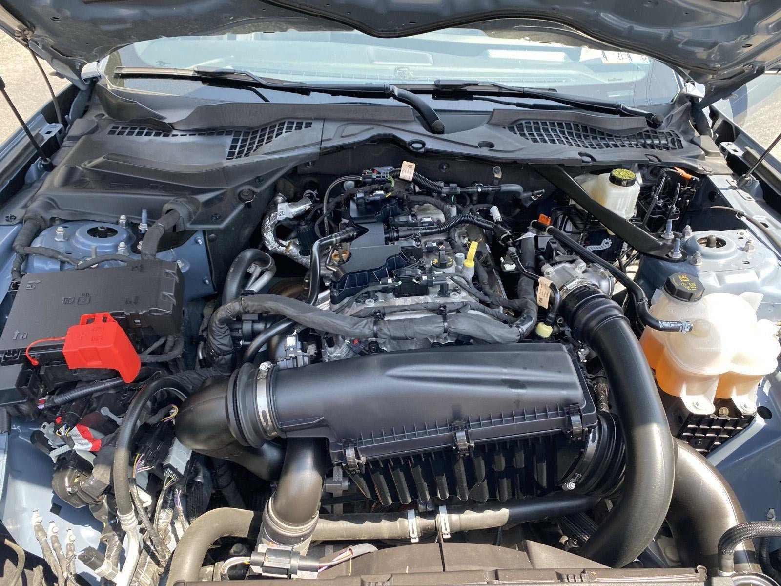 Used 2024 Ford Mustang Premium RWD image 39