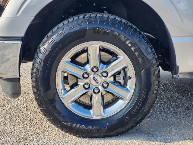 Used 2025 Ford F150 XLT w/ Equipment Group 301A Standard AWD/4WD image 10