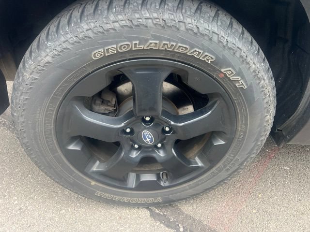 Used 2024 Subaru Forester Wilderness AWD/4WD image 4