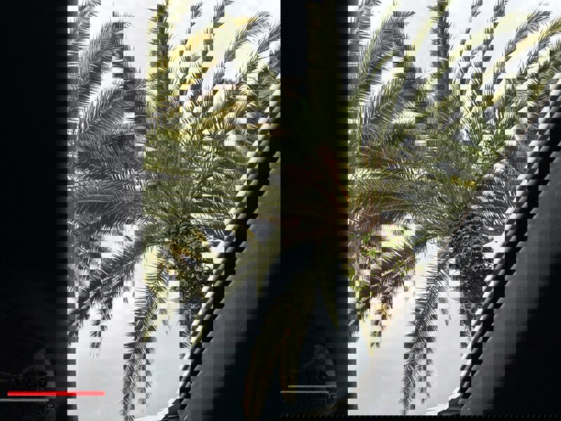 Used 2023 Maserati Ghibli Modena image 31