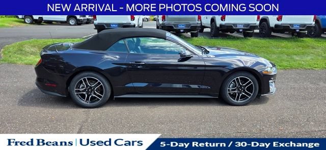 Used 2022 Ford Mustang Premium w/ Equipment Group 201A RWD image 11