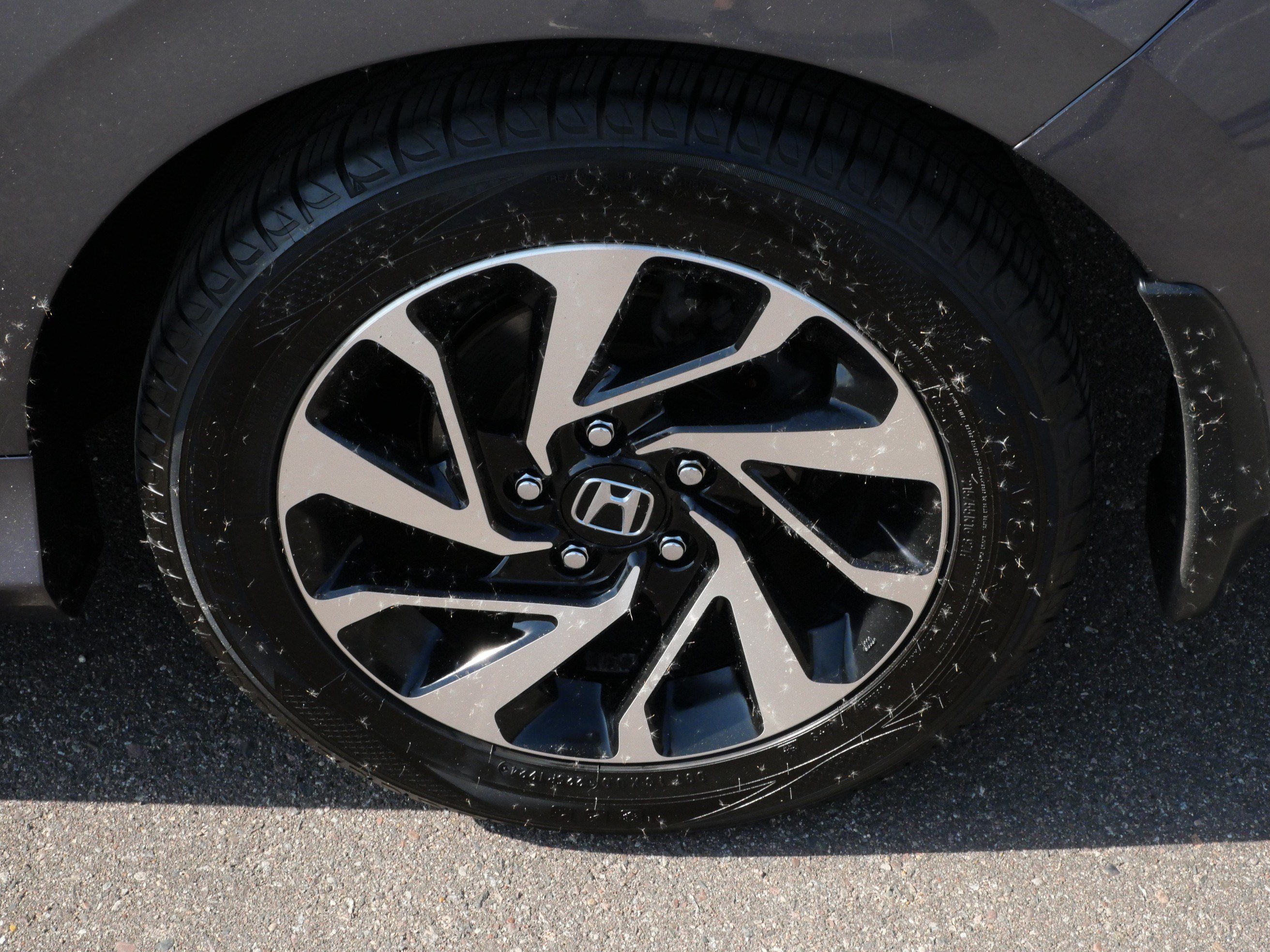 Certified 2017 Honda Civic LX-P image 15