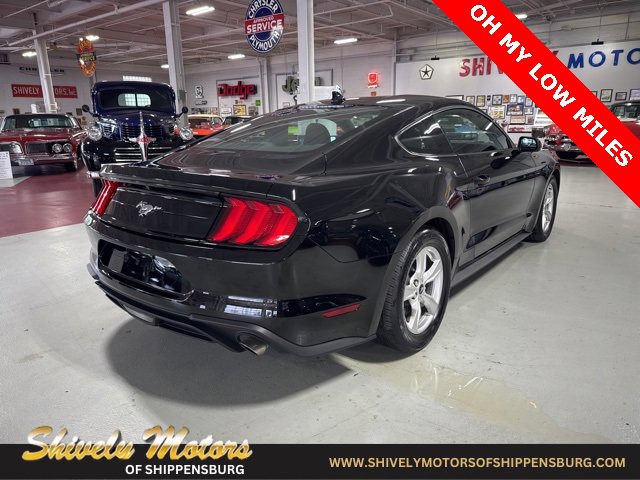 Used 2022 Ford Mustang EcoBoost image 5