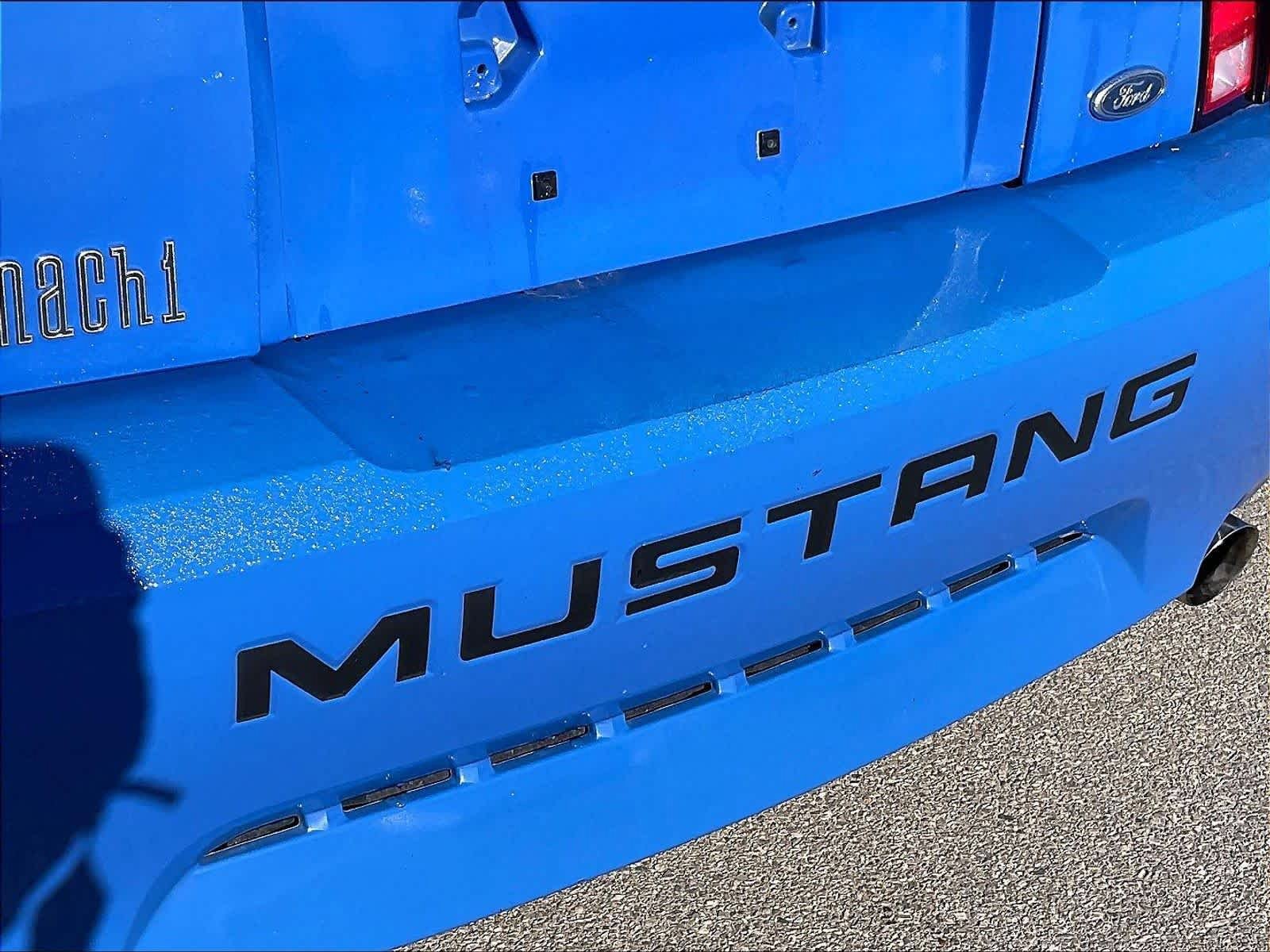 Used 2004 Ford Mustang Mach 1 RWD image 27