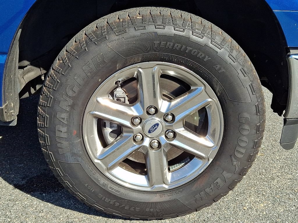Used 2025 Ford F150 XLT w/ Equipment Group 301A Standard AWD/4WD image 8