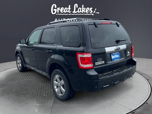Used 2009 Ford Escape Limited FWD image 3