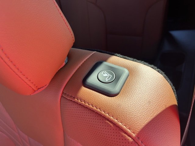 Used 2025 Kia Telluride EX X-Pro image 32
