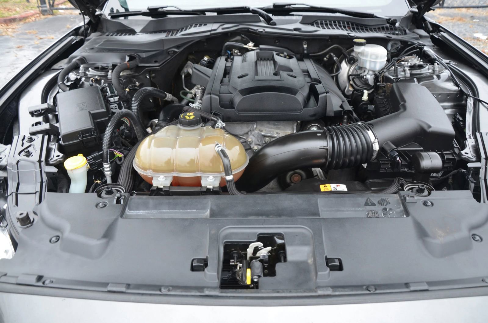 Used 2018 Ford Mustang Coupe image 15