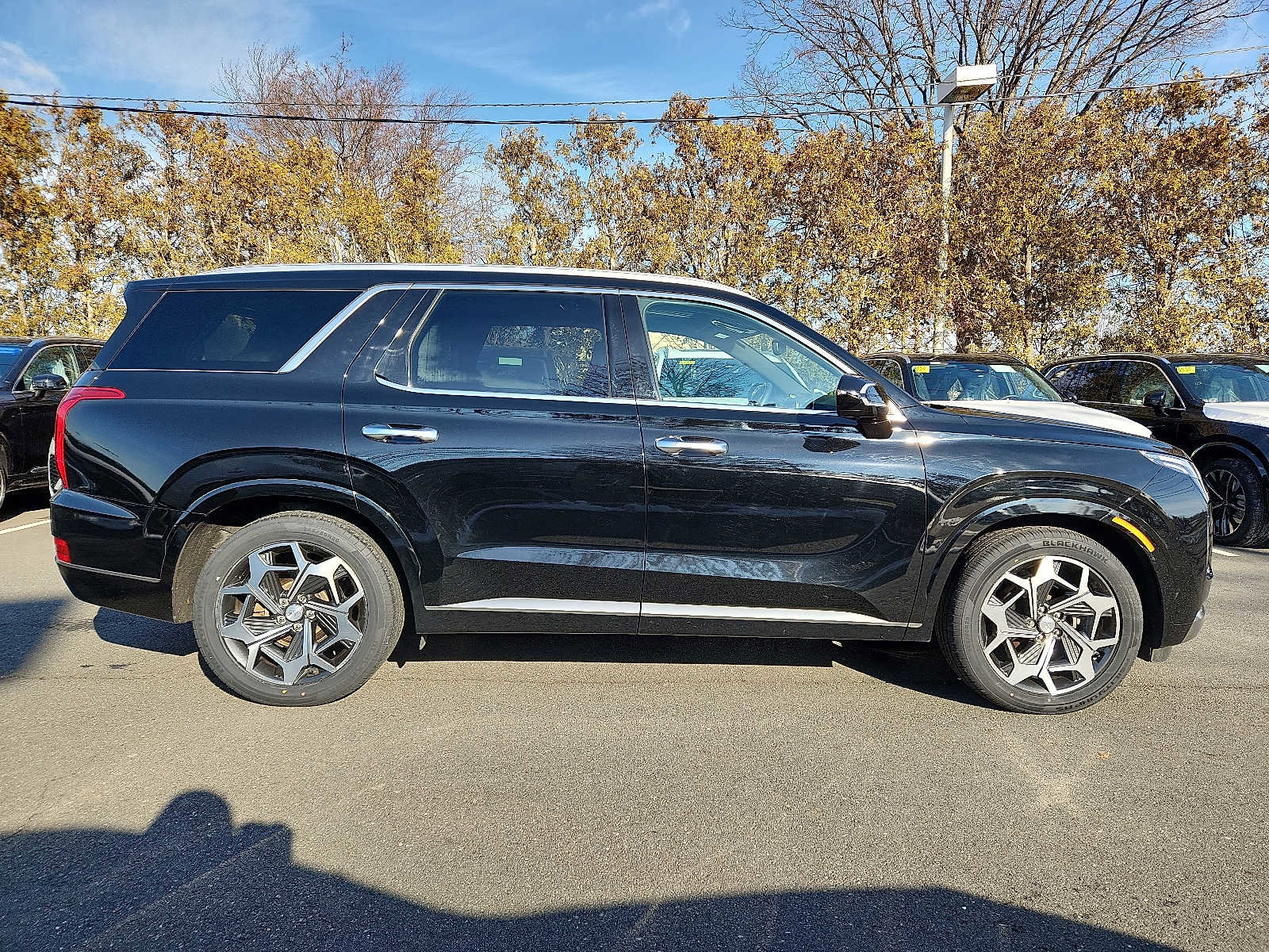 Used 2022 Hyundai Palisade Calligraphy image 7