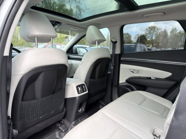 Used 2024 Hyundai Tucson Limited image 11
