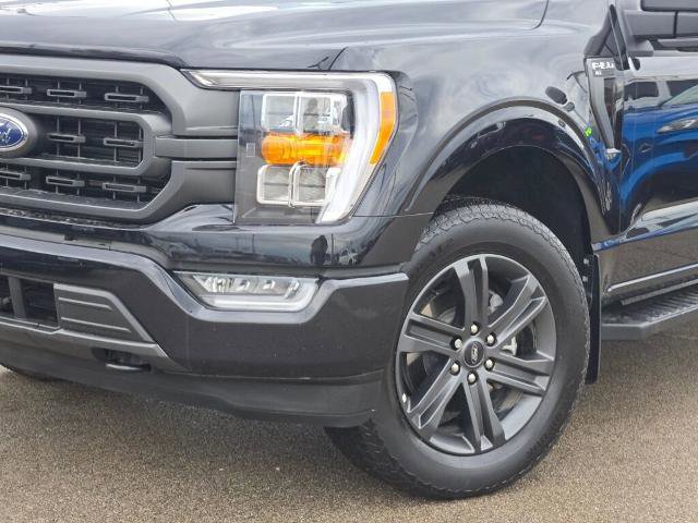 Certified 2023 Ford F150 XLT w/ Equipment Group 302A High image 3