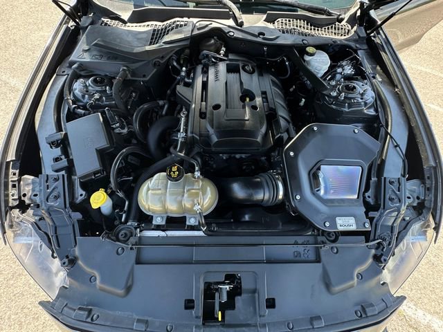 Used 2019 Ford Mustang Premium w/ Equipment Group 201A RWD image 29