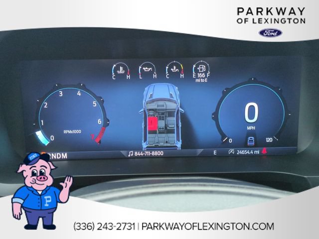 Used 2025 Ford F150 STX w/ Equipment Group 200A RWD image 18