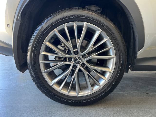 Used 2025 Lexus NX 350h AWD w/ Cold Area Package image 13