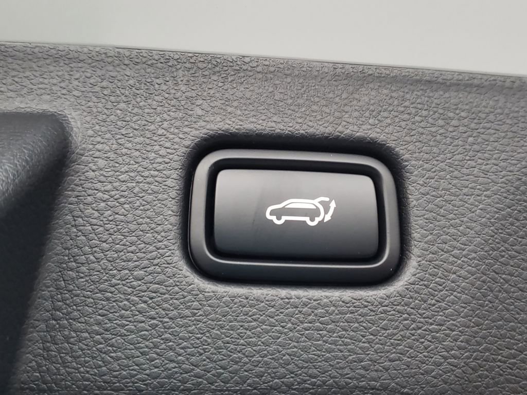 New 2026 Kia Seltos EX w/ EX Sunroof Package AWD/4WD image 8